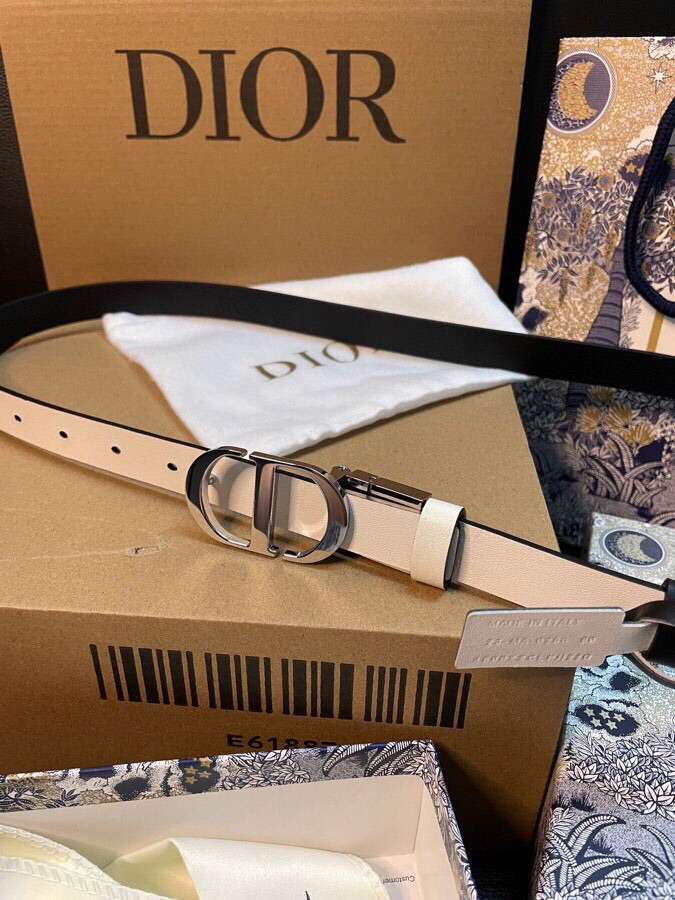 Dior Belts